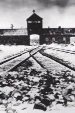 Watch AUSCHWITZ: CORRUPTION Megashare9