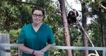 Watch Sue Perkins and the Chimp Sanctuary Megashare9