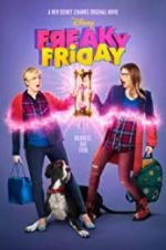 Watch Freaky Friday Megashare9