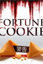 Watch Fortune Cookie Megashare9