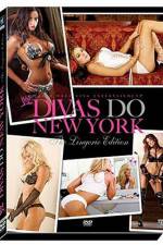 Watch WWE Divas Do New York Megashare9