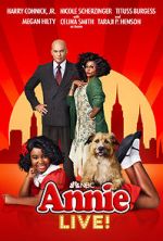 Watch Annie Live! Megashare9