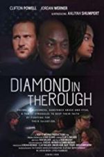 Watch Diamond in the Rough Megashare9