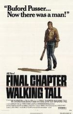 Watch Final Chapter: Walking Tall Megashare9