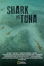 Watch Shark vs Tuna Megashare9