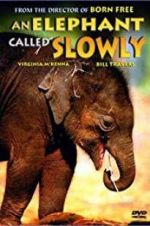 Watch An Elephant Called Slowly Megashare9