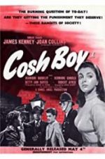 Watch Cosh Boy Megashare9