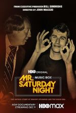 Watch Mr. Saturday Night Megashare9