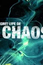 Watch The Secret Life of Chaos Megashare9