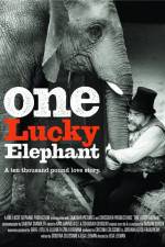 Watch En lycklig elefant Megashare9