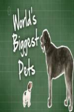 Watch World's Biggest Pets Megashare9