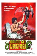 Watch Bruce Lee Fights Back from the Grave Megashare9