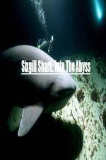 Watch National Geographic Wild Sixgill Shark Into The Abyss Megashare9