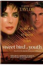 Watch Sweet Bird of Youth Megashare9