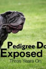 Watch Pedigree Dogs Exposed, Three Years On Megashare9