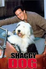 Watch The Shaggy Dog Megashare9