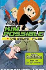 Watch "Kim Possible" Attack of the Killer Bebes Megashare9