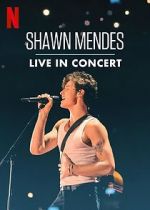 Watch Shawn Mendes: Live in Concert Megashare9