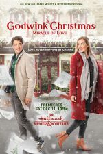 Watch A Godwink Christmas: Miracle of Love Megashare9