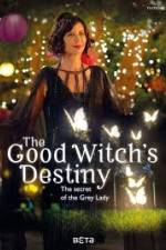 Watch The Good Witchs Destiny Megashare9