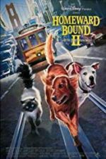 Watch Homeward Bound II: Lost in San Francisco Megashare9