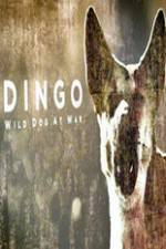 Watch Dingo Wild Dog at War Megashare9