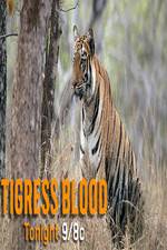 Watch Discovery Channel-Tigress Blood Megashare9