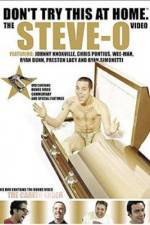 Watch Don't Try This at Home The Steve-O Video Megashare9