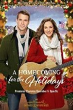 Watch A Homecoming for the Holidays Megashare9