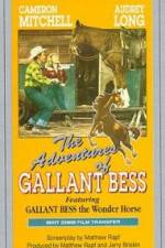 Watch Adventures of Gallant Bess Megashare9