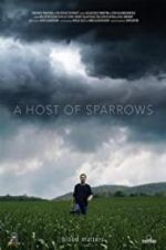 Watch A Host of Sparrows Megashare9