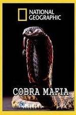 Watch National Geographic Cobra Mafia Megashare9