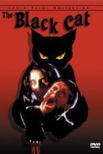 Watch Black Cat Megashare9