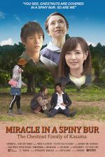 Watch Miracle in Kasama Megashare9