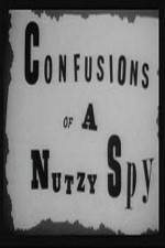 Watch Confusions of a Nutzy Spy Megashare9