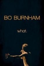 Watch Bo Burnham: what. Megashare9