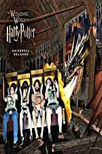 Watch Harry Potter and the Forbidden Journey Megashare9