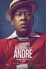 Watch The Gospel According to Andr Megashare9