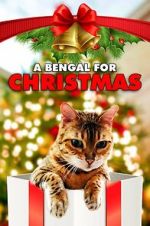 Watch A Bengal for Christmas Megashare9