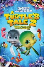 Watch A Turtle\'s Tale 2: Sammy\'s Escape from Paradise Megashare9