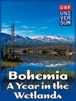 Watch Bohemia: A Year in the Wetlands Megashare9