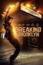 Watch Breaking Brooklyn Megashare9