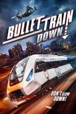 Bullet Train Down megashare9