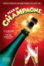 Watch A Year in Champagne Megashare9