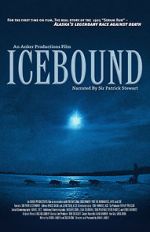 Watch Icebound Megashare9