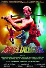 Watch Ninja Dragon Megashare9