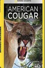 Watch National Geographic - American Cougar Megashare9