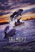 Watch Free Willy 2: The Adventure Home Megashare9