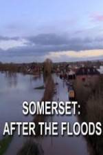 Watch Somerset: After the Floods Megashare9