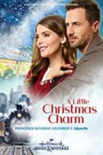 Watch A Little Christmas Charm Megashare9